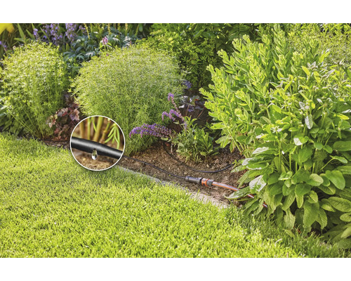 Kapkový zavlažovací systém v zahradě pro zavlažování rostlin