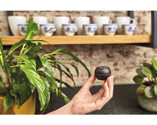 Ruka drží kulatý černý senzor rostlin před pokojovou rostlinou a šálky.