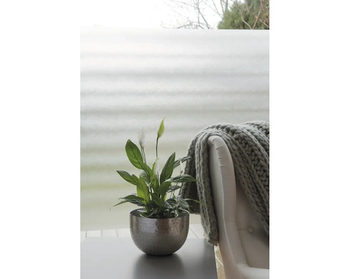 Lopatkovec v květináči na stole vedle křesla s dekou