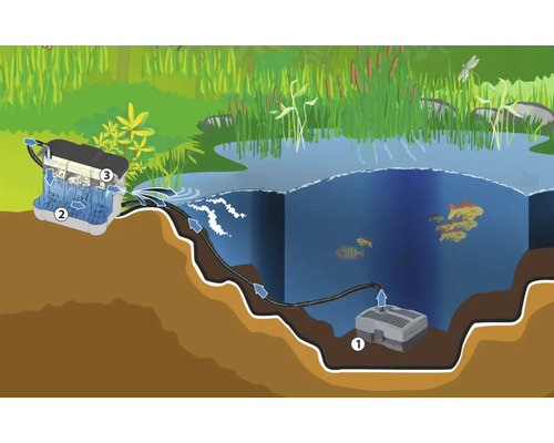 Ilustrace zahradního jezírka s jezírkovým čerpadlem a filtračním systémem pro čištění vody