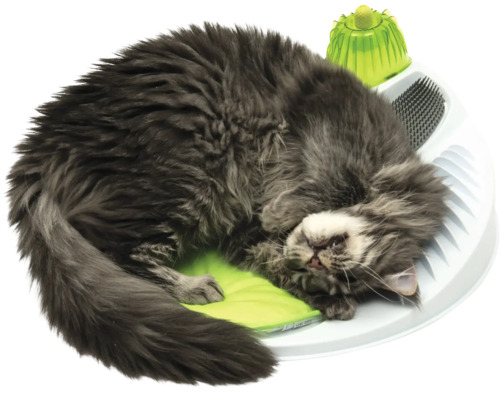 Kočka leží na interaktivní hračce pro kočky.
