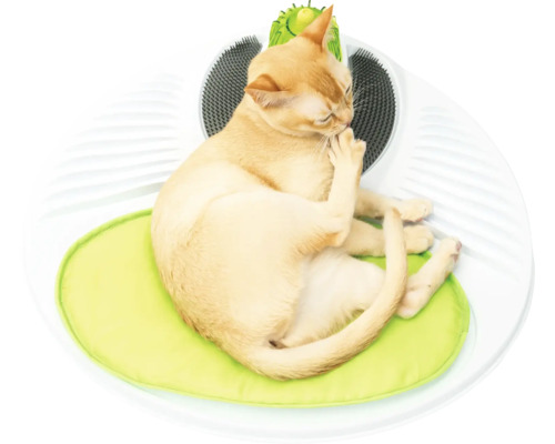 Kočka leží na škrabadle s polštářem