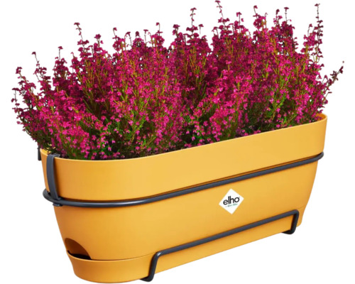 Plastikový truhlík s vřesem a držákem