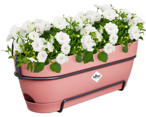 Květináč s bílými květinami a držákem