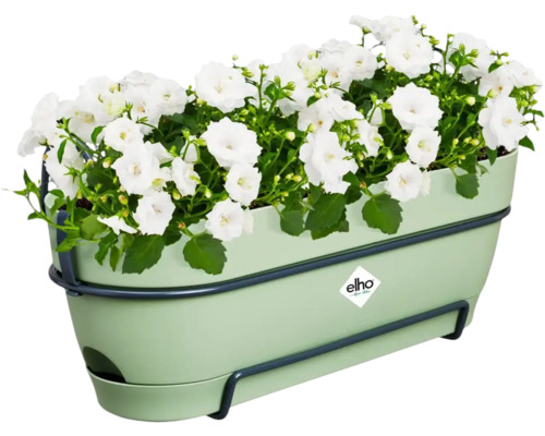 Květináč s bílými květy a závěsem