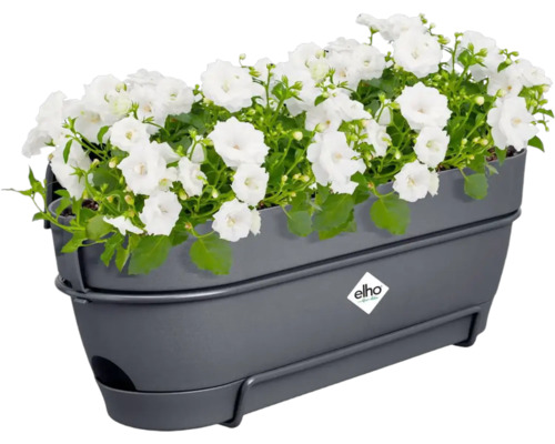 Šedý květináč s bílými květinami