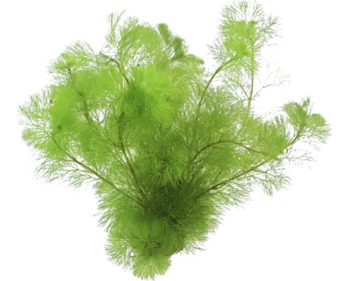 Umělá vodní rostlina pro akvária