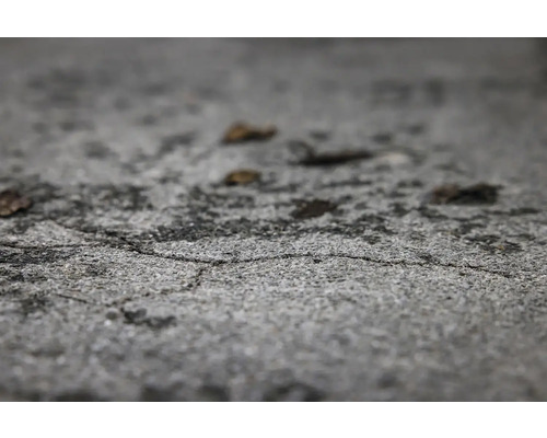 Detail betonového povrchu s prasklinami a několika listy