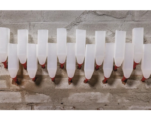 Řada bílých napáječek pro zvířata na betonové zdi