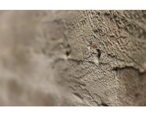 Detail omítnuté cihlové zdi