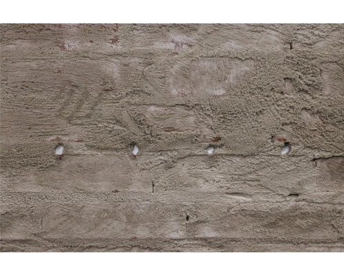 Detail omítnuté cihlové zdi s otvory