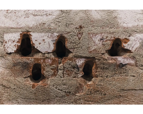 Detail cihlové zdi s otvory