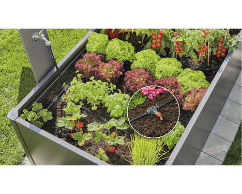 Zvýšený záhon se zavlažovacím systémem a různými rostlinami