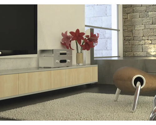 Moderní obývací pokoj s nízkou komodou, televizí a dekorací