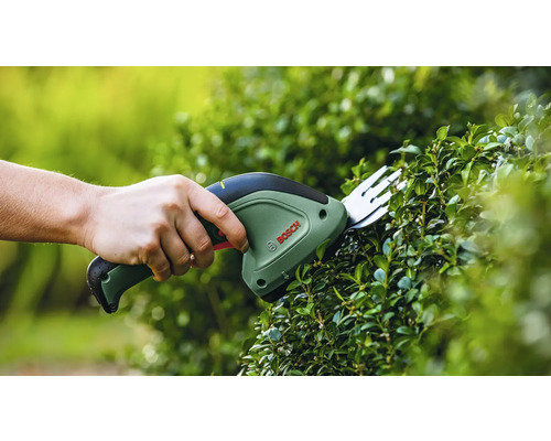Osoba stříhá živý plot nůžkami na keře Bosch.