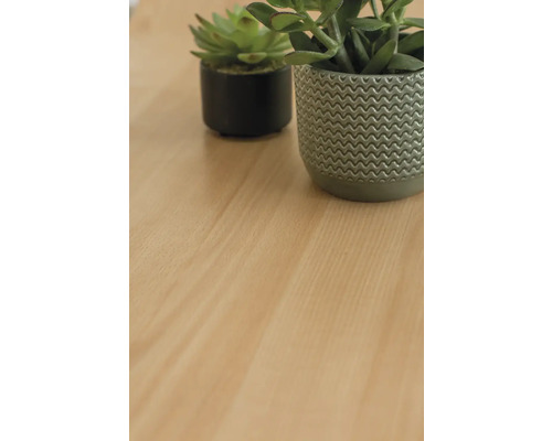 Dvě rostliny v květináčích na dřevěném povrchu