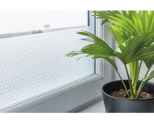 Okno s ochrannou fólií a hrnkovou rostlinou