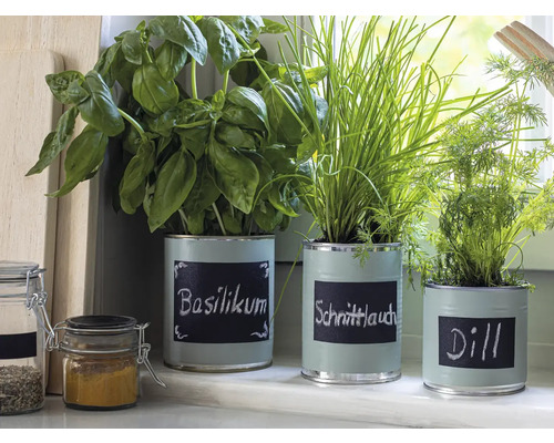 Bylinky v malovaných plechovkách s nápisy bazalka, pažitka a kopr