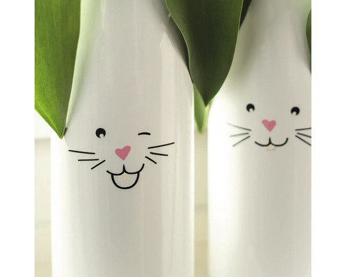 Dvě bílé vázy s obličejem králíka a rostlinami