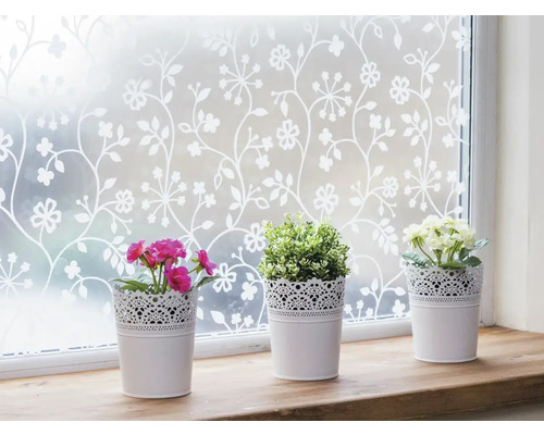 Okno s dekorativní fólií pro ochranu soukromí a třemi květináči