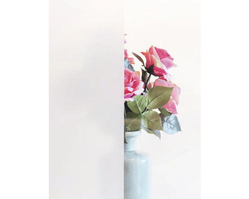 Fólie na ochranu soukromí s květinami v pozadí