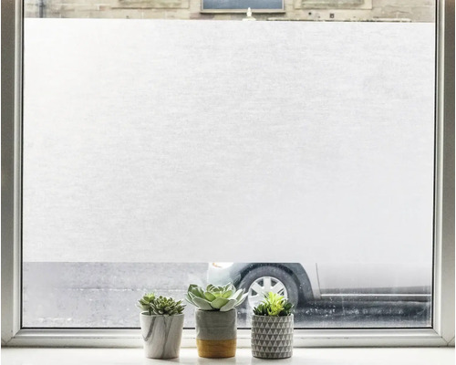 Okno s fólií z mléčného skla a pokojovými rostlinami na parapetu