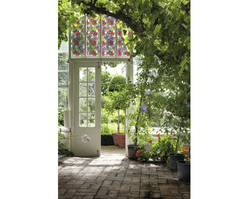 Scéna se skleníkem, rostlinami a ozdobnou okenní fólií s květinovým vzorem