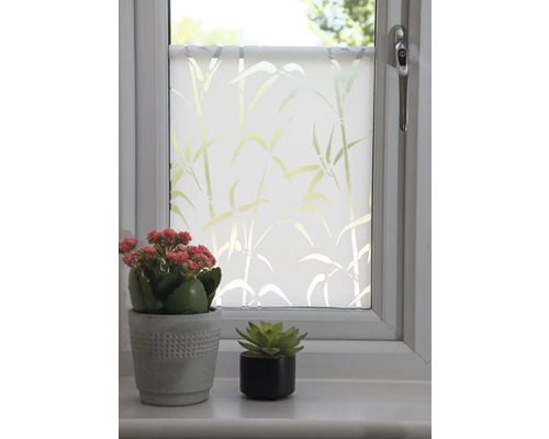 Okno s mléčnou fólií a bambusovým vzorem, zdobené dvěma hrnkovými rostlinami