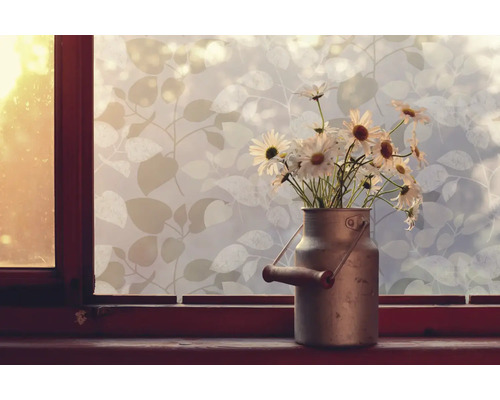 Okno fólie s motivem listů a sedmikrásky v konvi na mléko