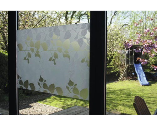 Okenní fólie se vzorem listů na skleněné tabuli