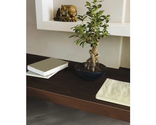 Dekorativní police s bonsají, knihami a sochou slona pro interiérový design.