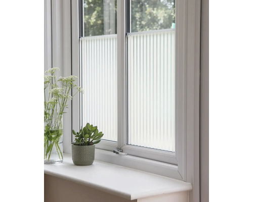 Okno s plisovanými roletami, hrnková rostlina a váza s květinami na parapetu