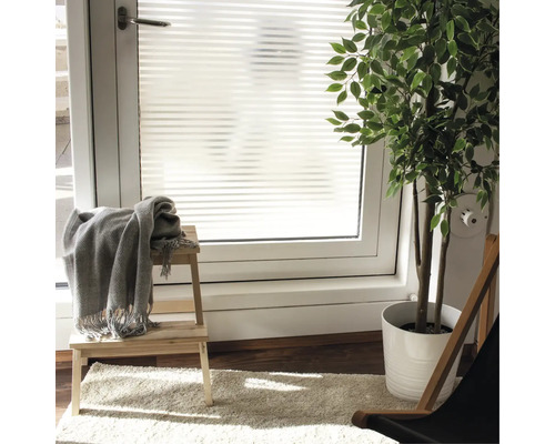 Místnost s okenní fólií, stoličkou, dekou a pokojovou rostlinou