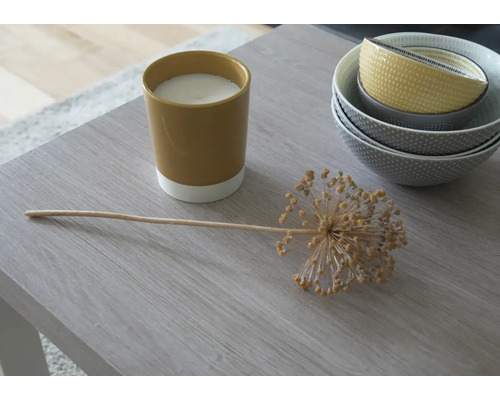 Dekorativní uspořádání se svíčkou, ozdobnou miskou a okrasným česnekem na stole