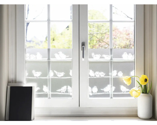Dekorační fólie s ptačími motivy na okně