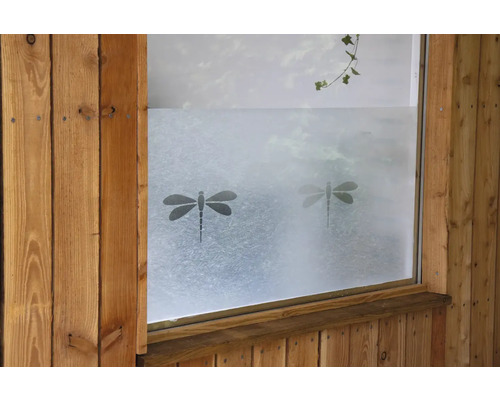 Okno s mléčnou fólií a motivy vážek