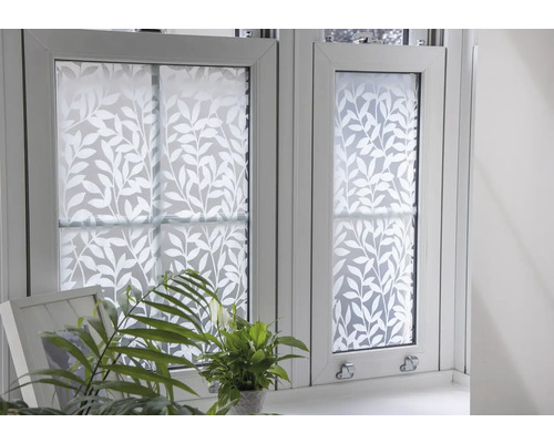 Okno s okenní fólií a rostlinami v místnosti