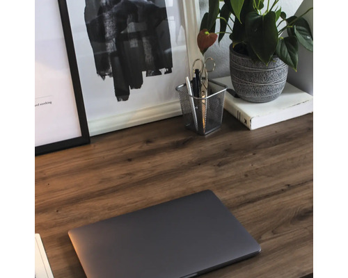 Detailní pohled na stůl s notebookem, kancelářskými potřebami, pokojovou rostlinou a zarámovanými obrázky.