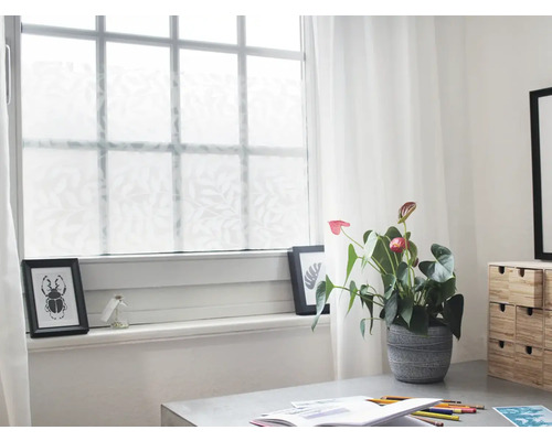 Okno s okenní fólií s rostlinným vzorem, dekorace a pokojová rostlina