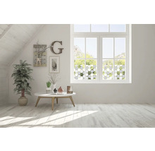 Statická fólie průhledná Glasdekor static Premium Wido 150x67,5 cm