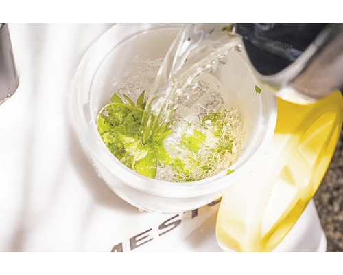 Do mísy se salátem se nalévá voda