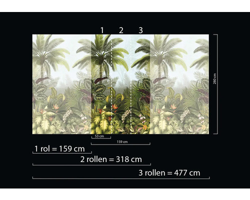 Tropická fototapeta s palmami a rostlinami, rozměry pro jednu, dvě nebo tři role.