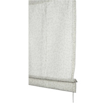 Římská roleta se vzorem