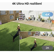Scéna zahrady se psem chytajícím míč, zobrazená v rozlišení 4K Ultra HD a 2K.