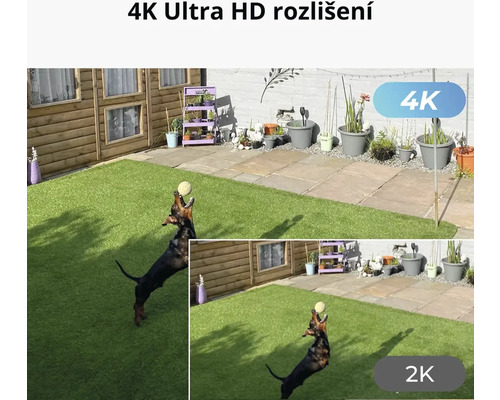 Scéna zahrady se psem chytajícím míč, zobrazená v rozlišení 4K Ultra HD a 2K.