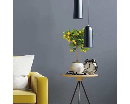 Dekorativní interiér s citronovníkem, stolní lampou, stolem a pohovkou.