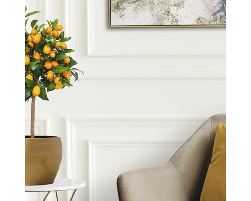 Umělý kumquatovník v květináči jako dekorace