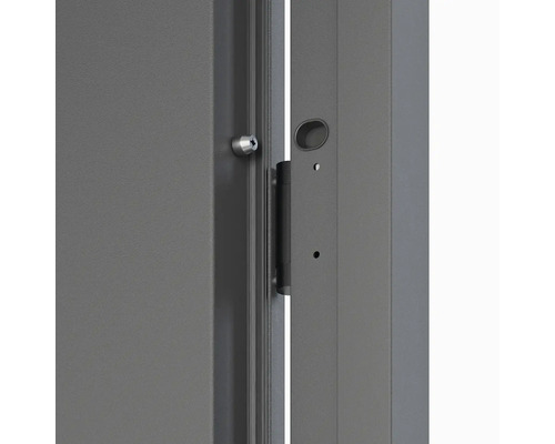 Detail kovových dveří se zámkem a kováním