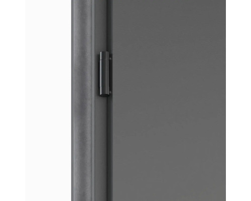 Detail dveří s pantem