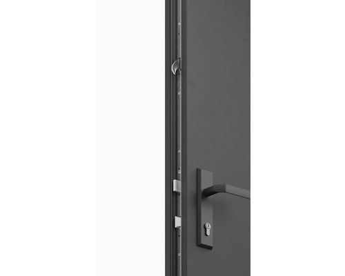 Detailní pohled na dveře s vícebodovým zamykáním a dveřním kováním.